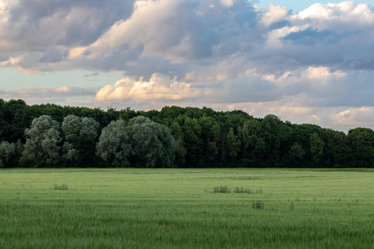 Praktische vaardigheden opdoen: wat je leert bij Field Eco