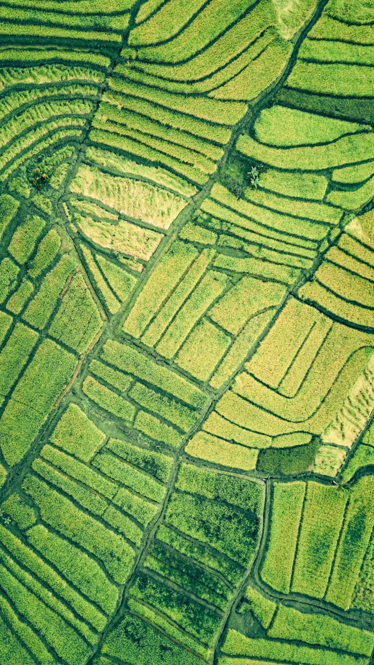 De voordelen van een online cursus voor ecologische studies